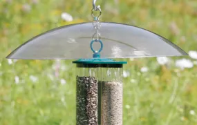 20" Clear Squirrel Baffle