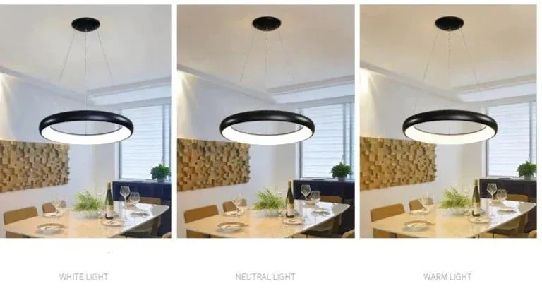 Black Simple Acrylic Ring Pendant