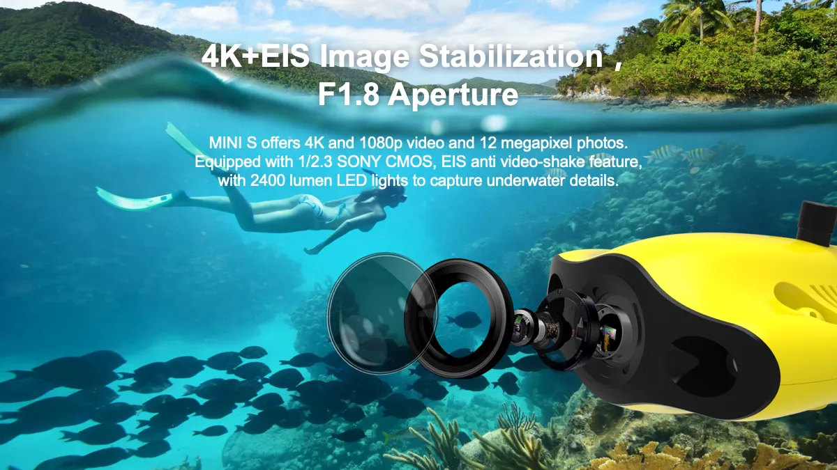 Chasing Gladius Mini S with Robotic Arm Underwater Drone
