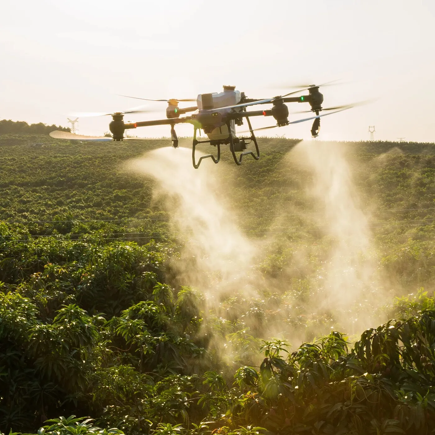 DJI Agras T50 Drone