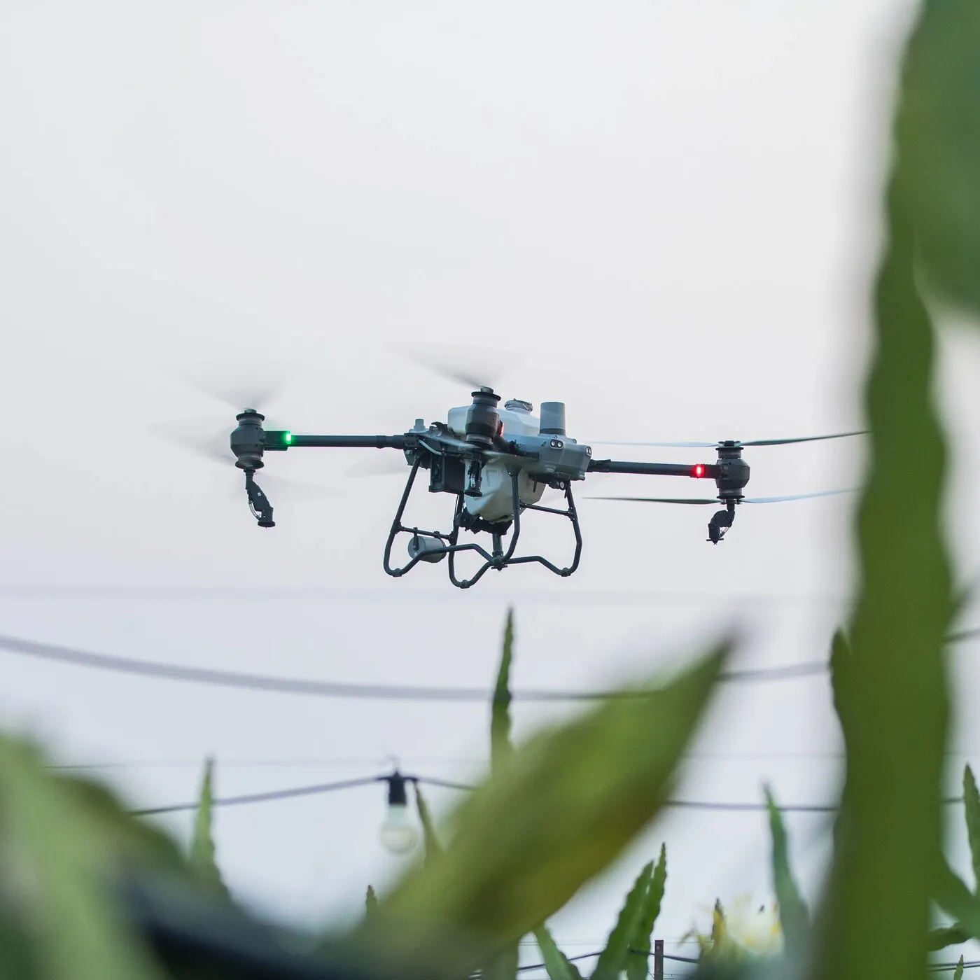 DJI Agras T50 Drone