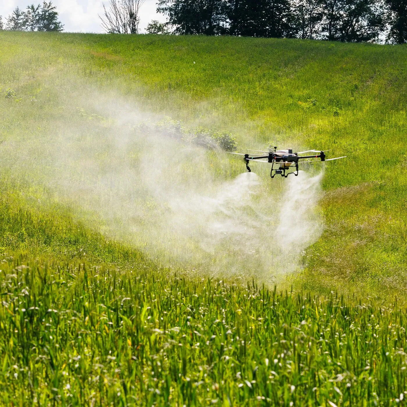 DJI Agras T50 Drone